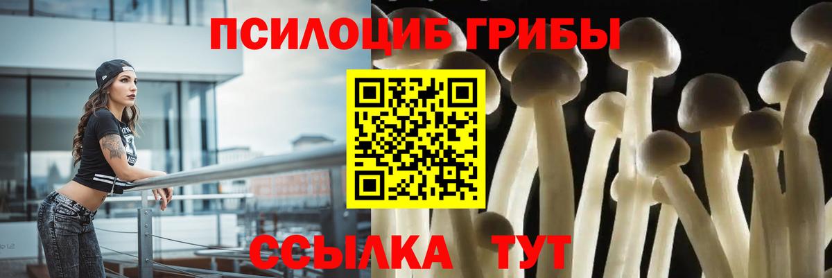 Псилоцибиновые грибы мухоморы Муром